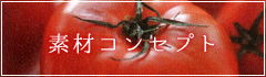 素材コンセプト